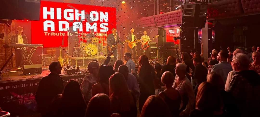 Crowd watching High on Adams at a gig